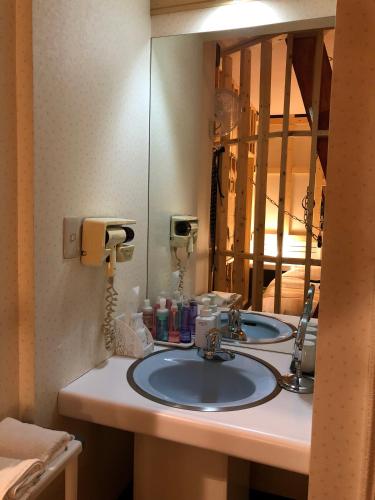 a bathroom with a sink and a mirror at Hotel Vegas (Adult Only) in Sapporo