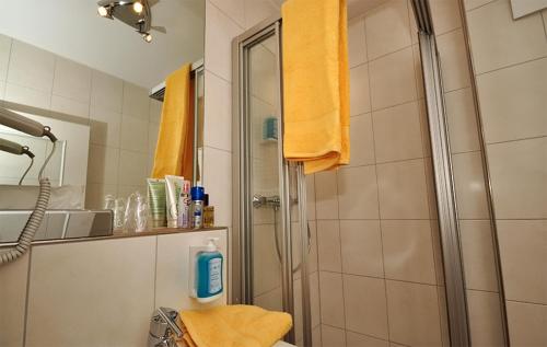a bathroom with a shower with a glass door at Zellers Pension in Markt Erlbach