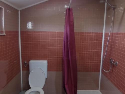 Apartment Cajt