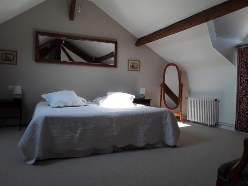 a bedroom with a bed with two pillows and a mirror at La Belvinière Chambres et table d'hôtes in Tour-en-Sologne