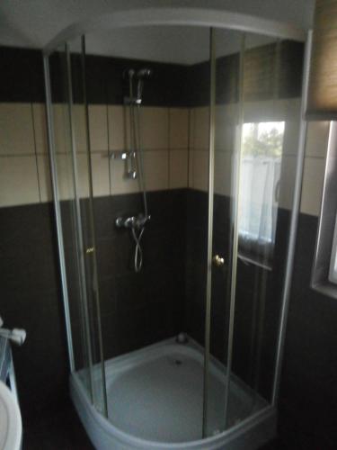 y baño con ducha y puerta de cristal. en Lipót-Haus, en Lipót