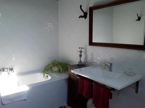 a bathroom with a white sink and a mirror at La Belvinière Chambres et table d'hôtes in Tour-en-Sologne