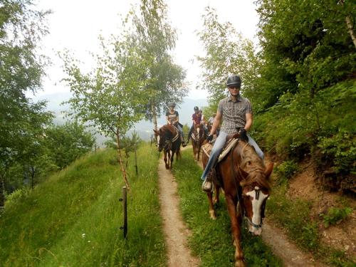 Horseback riding at a vidéki vendégházakat or nearby