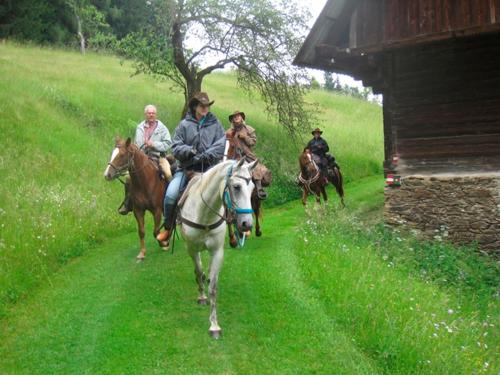 a group of people riding horses on a field at Wohlfühlbauernhof Siebernegg in Eibiswald