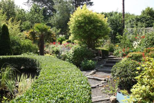 a garden with bushes and trees and flowers at Roscaoin House in Westport