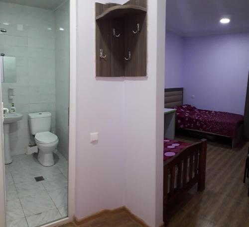 a bathroom with a toilet and a sink at Hostel City Center in Kutaisi
