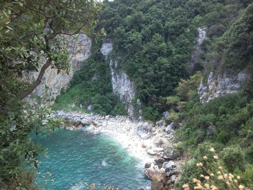 a view of a river with a beach and trees at Dimosthenis Karastamatis Rooms in Xorychti