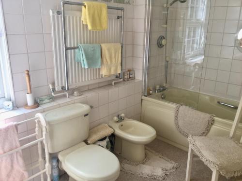 a bathroom with a toilet and a sink and a shower at STAPLEHURST COTTAGE in Sandgate