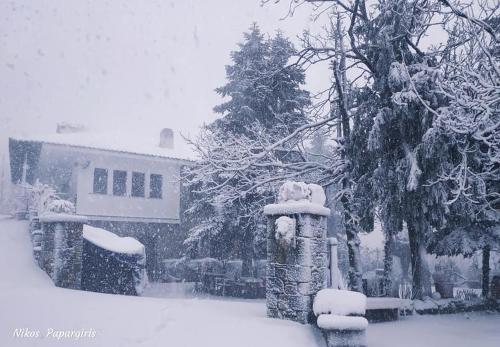 a yard covered in snow with a house and trees at Dimosthenis Karastamatis Rooms in Xorychti