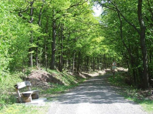 a dirt road with trees and a bench on the side at Ferienhaus Familie Bischof 97633 Sulzfeld - Leinach in Sulzfeld (im Grabfeld)