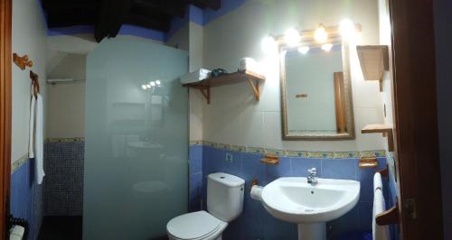 La salle de bains est pourvue de toilettes et d'un lavabo. dans l'établissement Apartamentos Rurales El Canchal de la Gallina - Parking gratis - Jacuzzi uso en privado - Cafeteria - Bar - Desayunos - Piscina de agua caliente desde 23 de Marzo 2024 - Masajes, à Hervás