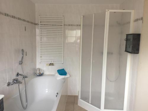a bathroom with a shower and a tub and a sink at Ferienhaus Burggraf in Zermüllen