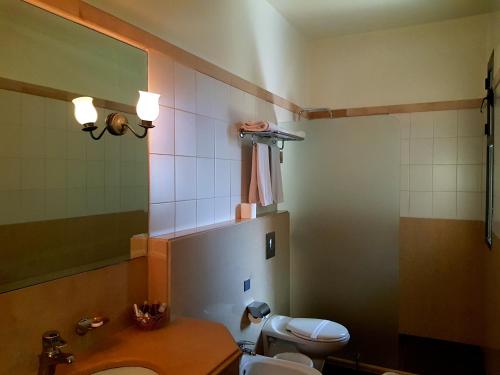 布魯馬納的住宿－普林坦尼亞宮殿酒店，一间带卫生间、水槽和镜子的浴室