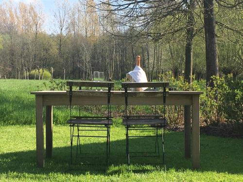 a bird sitting on top of a table in the grass at Het Zwaantje in Londerzeel