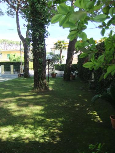 a group of trees in a yard with green grass at Hotel Giulio Cesare in Cinquale