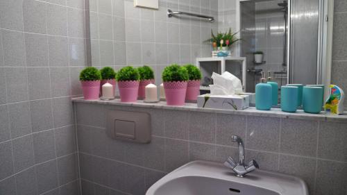 a bathroom with potted plants on a shelf with a sink at Ferienwohnung am Münsterturm in Überlingen