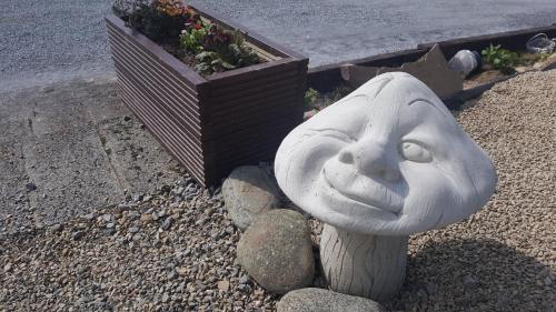 Foto dalla galleria di Crag Shore a Lahinch