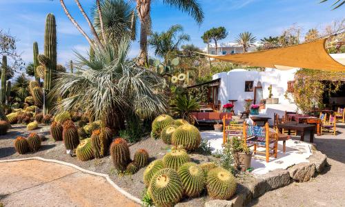 a garden of cacti and plants in a yard at Villa Ravino Secret Retreat in Ischia