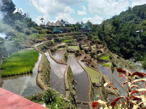 an aerial view of a garden with a river at Bogah Lodge in Banaue