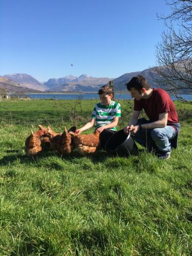 two people sitting in the grass with a group of chickens at Highland Croft B&B in Onich