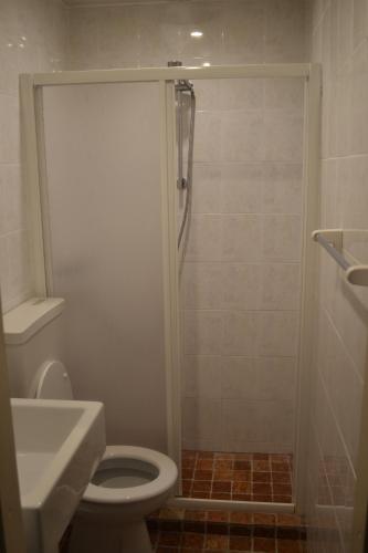 a bathroom with a shower with a toilet and a sink at Sunclass Tignale bungalow S37 in Tignale