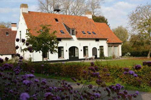 a white house with an orange roof and purple flowers at De Grote Wateringe in Damme