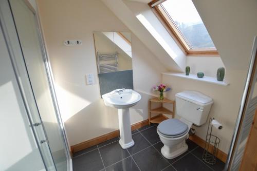 a bathroom with a sink and a toilet and a skylight at Feochan Bheag in Oban