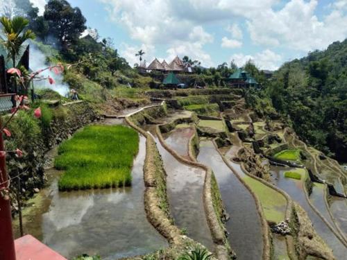 a view of a river with grass and trees at Bogah Lodge in Banaue