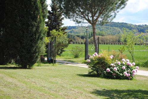 a bush with pink flowers in a park at Agriturismo Ai Prati in Perugia