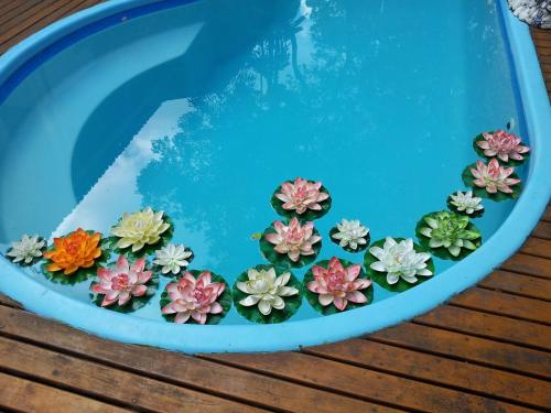 a planter filled with flowers in a swimming pool at Art Hotel Aos Sinos Dos Anjos in Arraial d'Ajuda