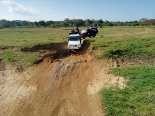 Un paisaje natural cerca de la casa de huéspedes