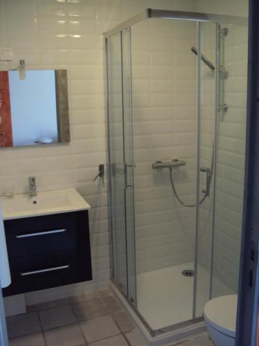 a bathroom with a shower and a sink and a toilet at Mas d'Asvin & Spa in Saint-Christol-lès-Alès