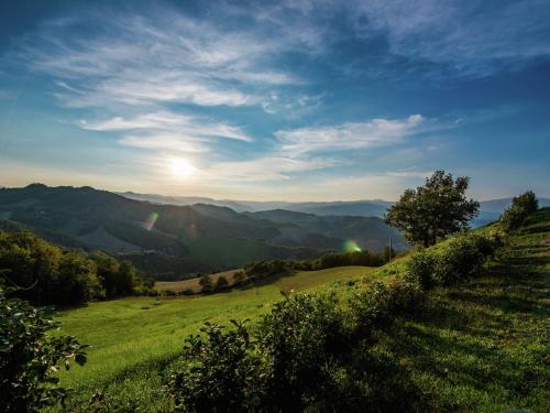 a grassy hill with a view of the mountains at Apartment in Sant'Angelo near Medieval Town in SantʼAngelo in Vado