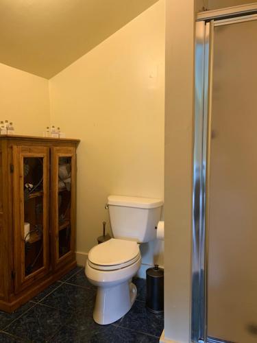 a bathroom with a toilet and a glass shower at Terrell House Bed and Breakfast in New Orleans