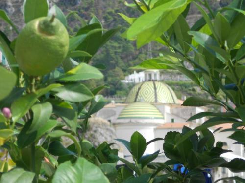 Jardín al aire libre en B&B Amalfè