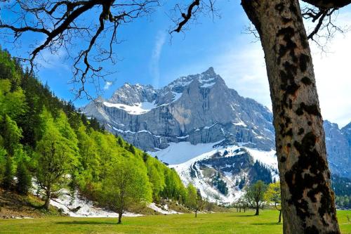 a view of a snow covered mountain in a field at ALPENFREUND in Mittenwald