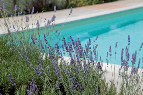 Πισίνα στο ή κοντά στο Agriturismo Podere Acqualoreto