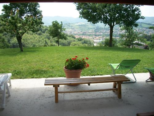 a bench with a pot of flowers and a chair at Agriturismo La Caputa in Urbania