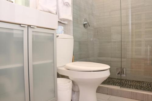 e bagno con servizi igienici bianchi e doccia. di Downtown Beacon Hill, Convenient, Comfy Studio #10 a Boston