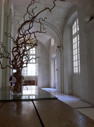 Fotografie z fotogalerie ubytování Hôtel Cloitre Saint Louis Avignon v Avignonu