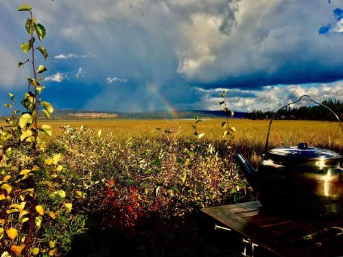 a pot on a table next to a field with a rainbow at Camp Caroli Wooden Cabins in Jukkasjärvi