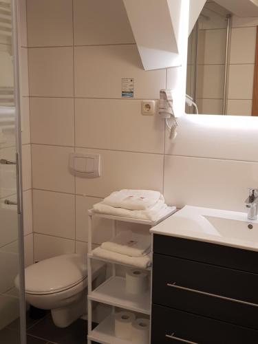 a bathroom with a toilet and a sink and a mirror at Pension Am Ozeaneum in Stralsund
