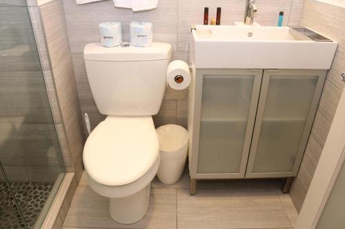 a bathroom with a toilet and a sink at Comfy Beacon Hill Studio Great for Work Travel #13 in Boston