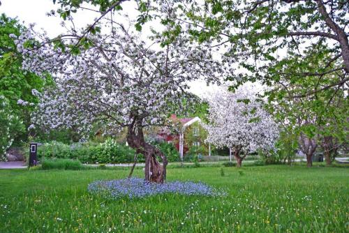 Taman di luar Obstgarten Mörlunda, 5 min zum Badesee, Småland, Sauna
