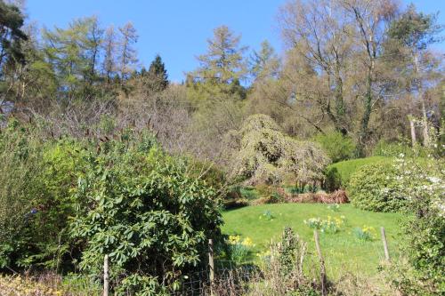 a garden with a green lawn and trees at Fern Howe Guest House in Keswick