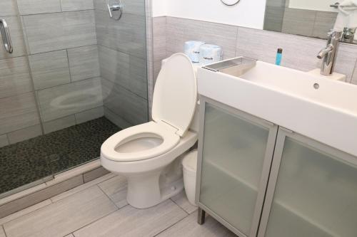 a bathroom with a toilet and a sink and a shower at Charming & Stylish Studio on Beacon Hill #15 in Boston