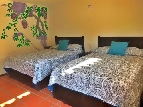 ein Schlafzimmer mit 2 Betten und einer Pflanze an der Wand in der Unterkunft Hotel Posada Jarritos in Cuetzalán del Progreso