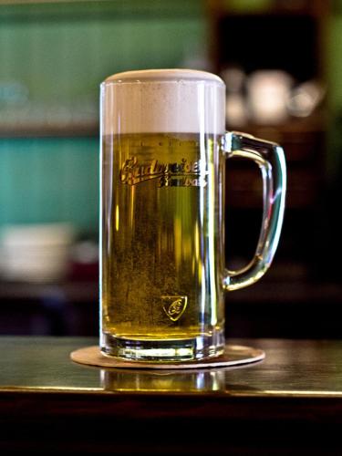 a glass of beer sitting on a table at La Fresca in Kroměříž