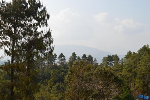 a forest of trees with mountains in the background at Hotel At The End Of The Universe in Nagarkot