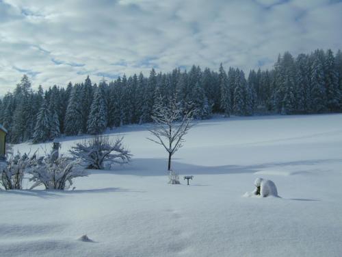 a polar bear laying in a snow covered field at Ferienhaus Wohleser in Mariahof